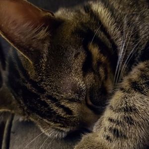 Meet your Posher, Jason